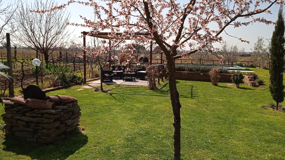 Cortona Vacations - Country House Podere Casorbica - Property Image 23