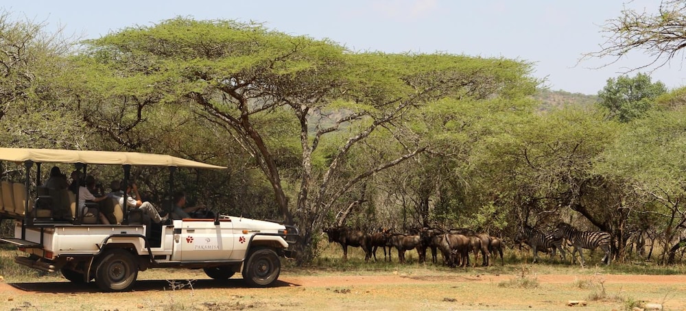 Pakamisa Private Game Reserve