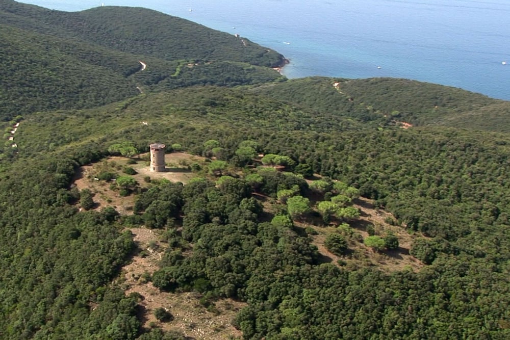 Torre Rivolta