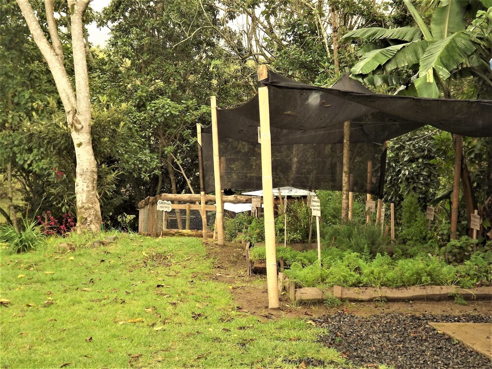 Hostal El Zorzal
