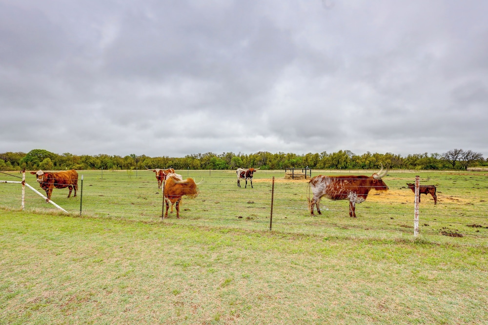 Day Trip to Brownwood: Ranch Retreat on 92 Acres!