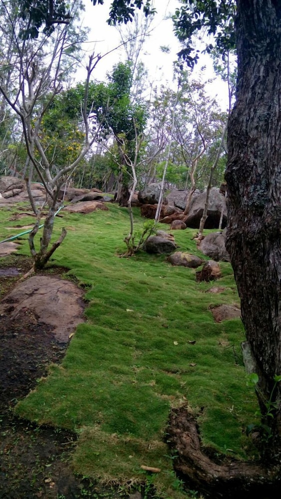 The Brook Resorts & Spa