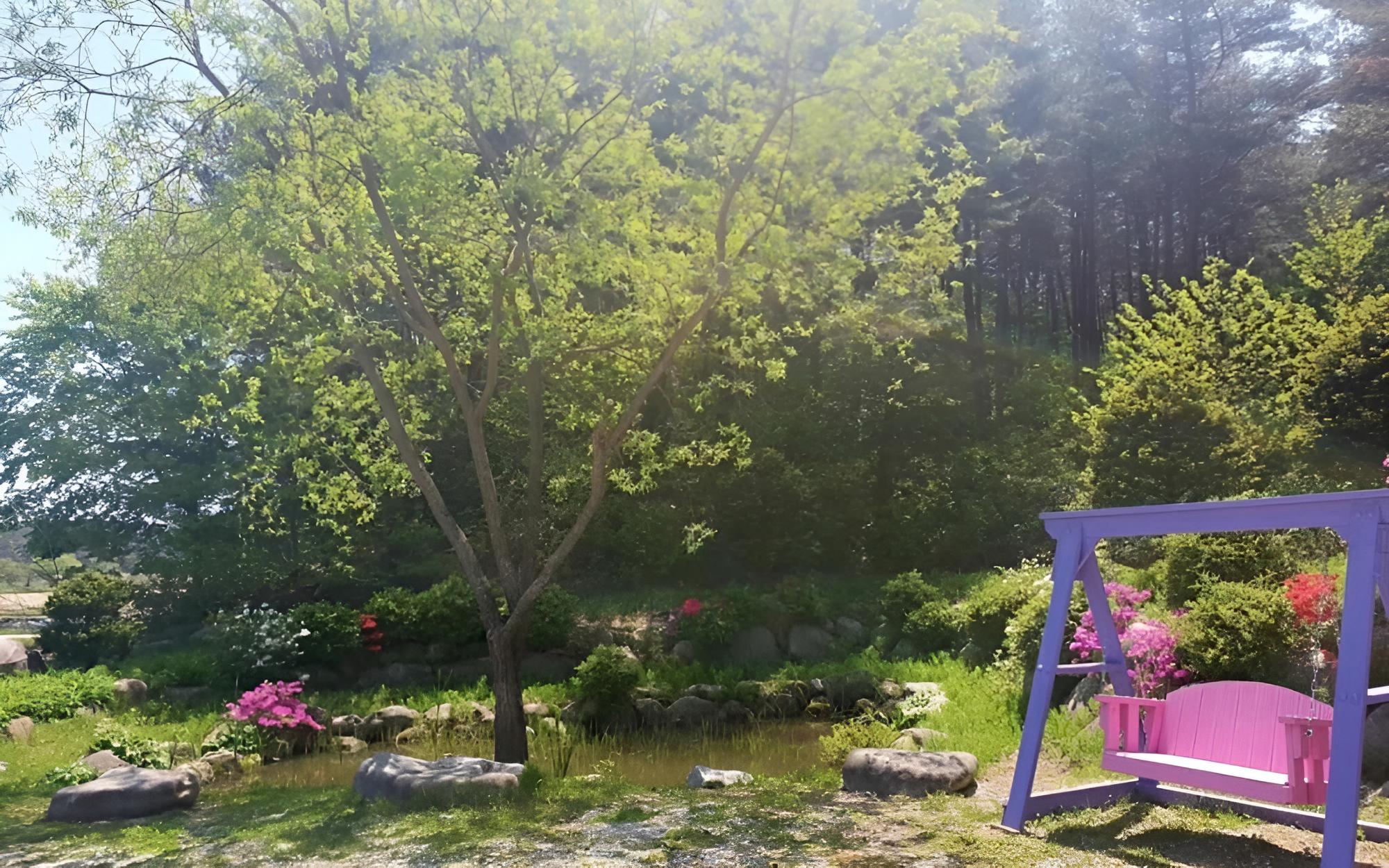 Gangneung Lua Garden Pension view 2