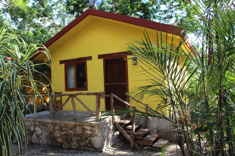 Photo 10