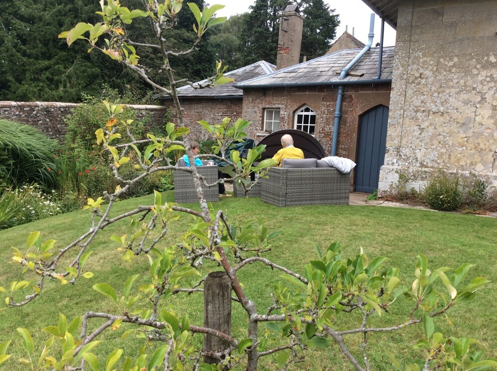 Photo 25