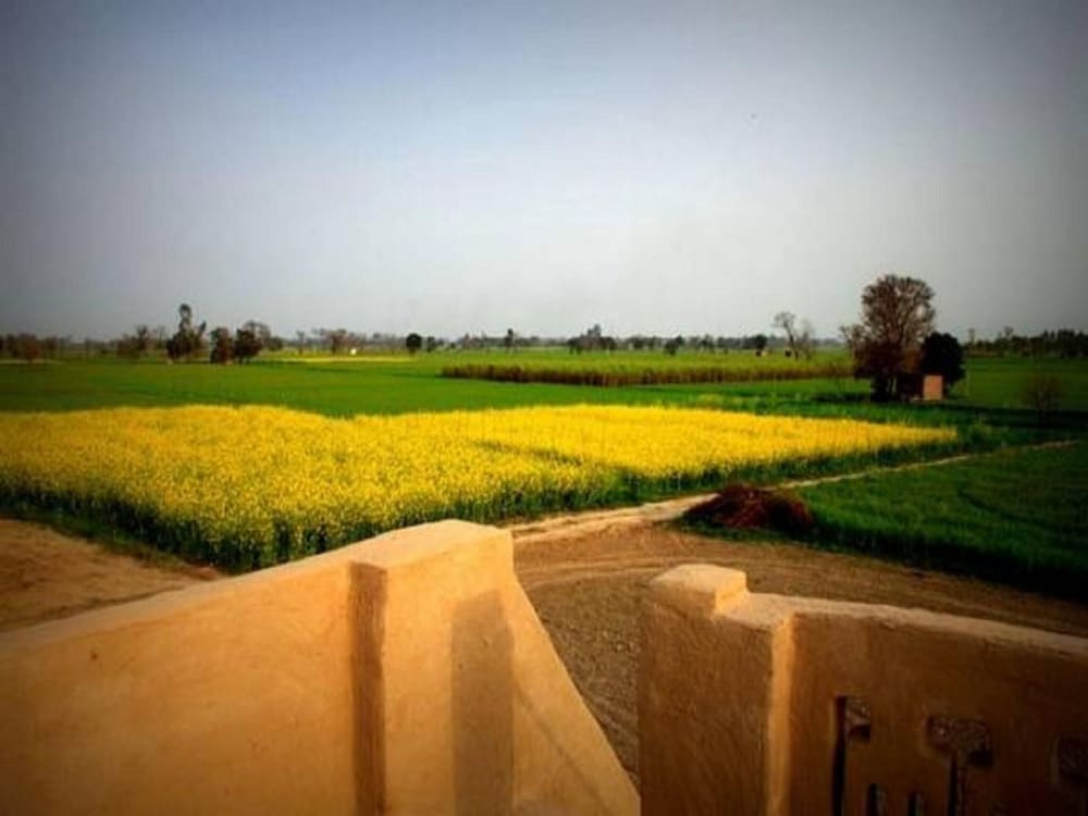 Punjabiyat near Amritsar