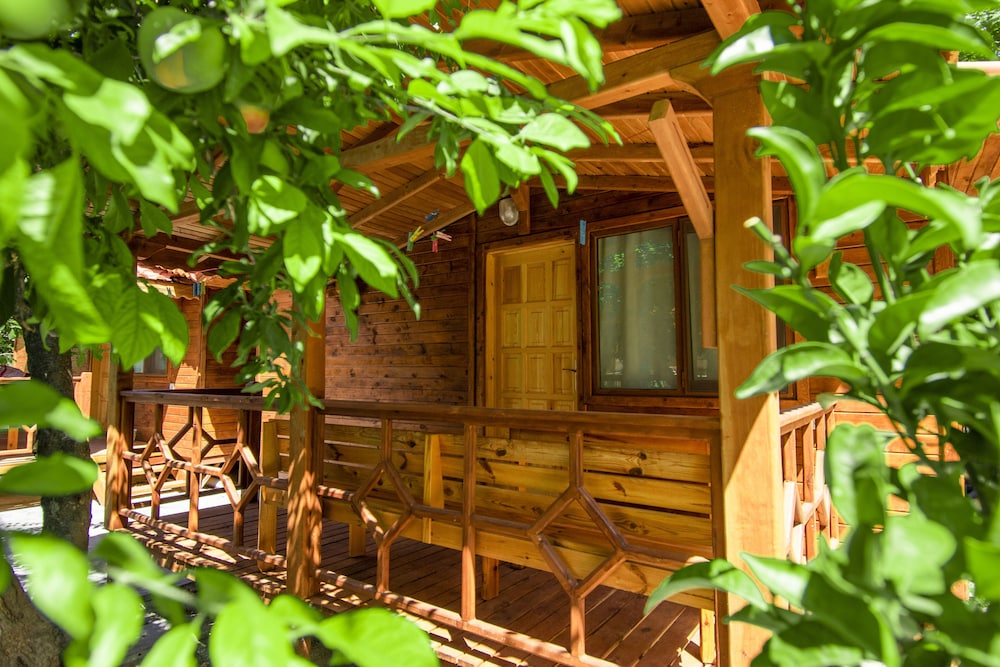 Likya Adrasan