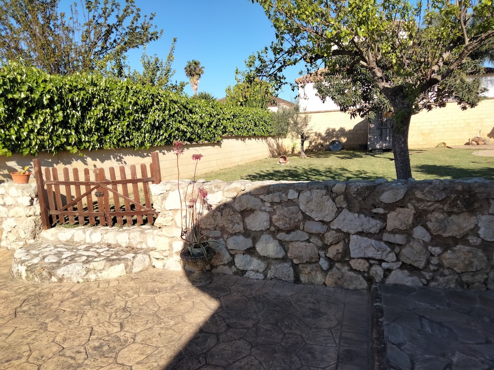Photo 19