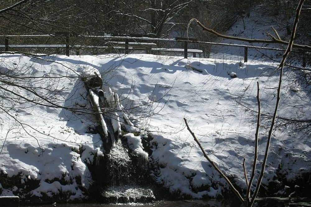 Photo 19