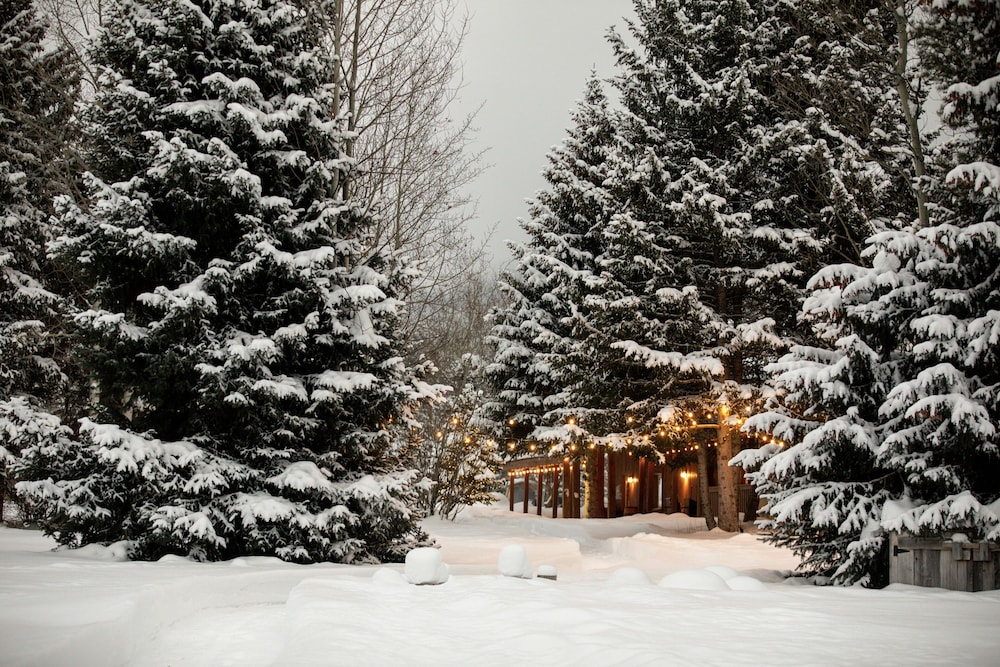 Moose Creek Ranch