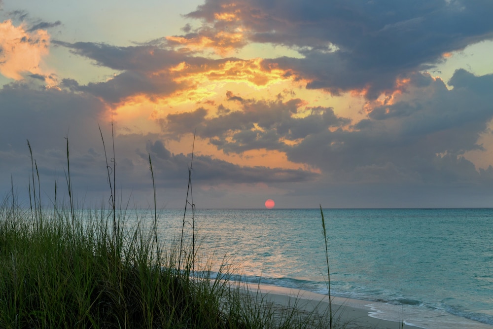 COMO Parrot Cay - Photo 189