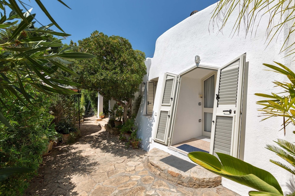 Pajara Annelies photo 4