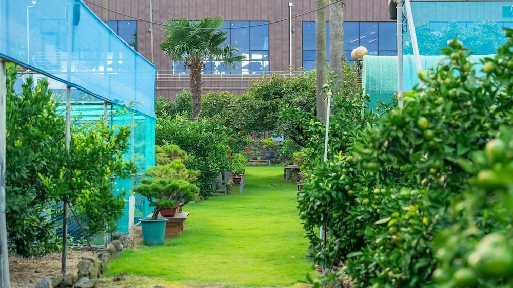 Jeju Jeonwonsaenghwal Diorem Pension