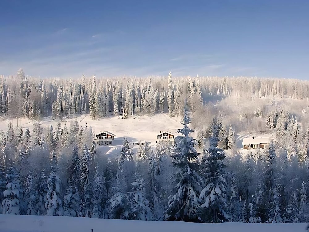 KarkuTahko 1B