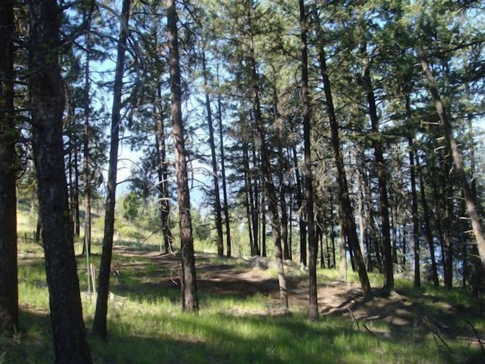 Crooked Tree Guest Suites