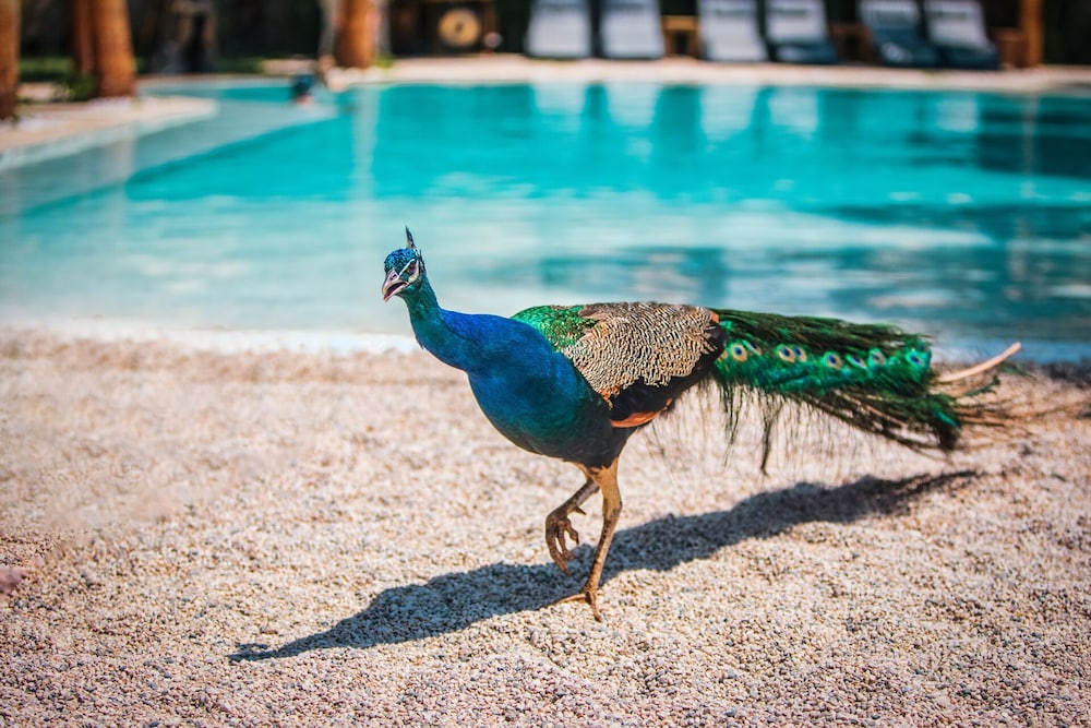 Layla Gocek - Yetişkinlere Özel - Image 87