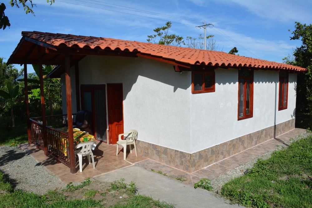 Photo 42
