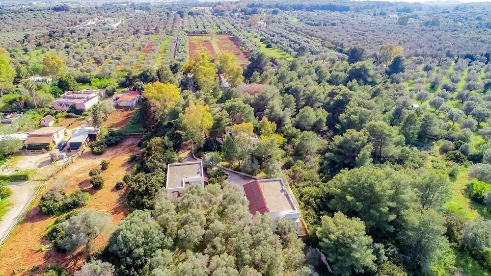 Tenuta la Saracina view 3