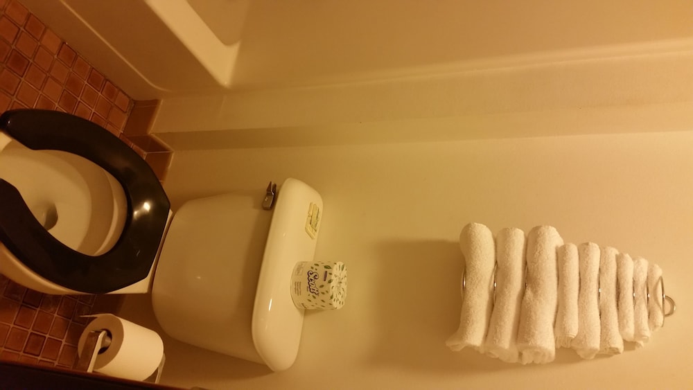 Wisconsin Dells Vacations - Olympia Motel - Property Image 9