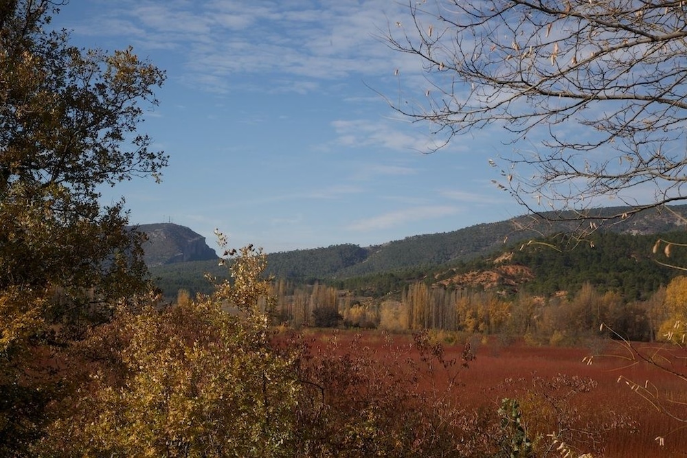 Cabañas Llano de los Conejos