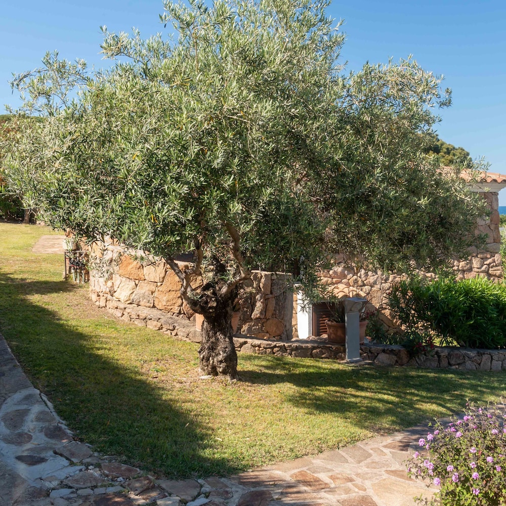 Casa EOS in Baia Sant Anna