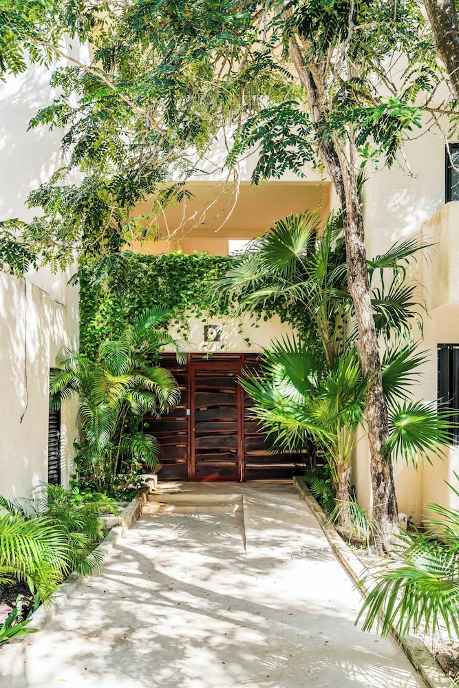 Cozy Penthouse in Tulum 2 BR