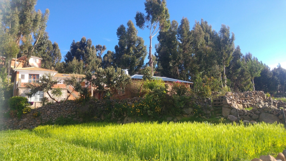 Photo 13