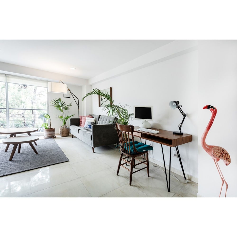 Destination Condesa @Alvaro Obregon Views 2 photo 4