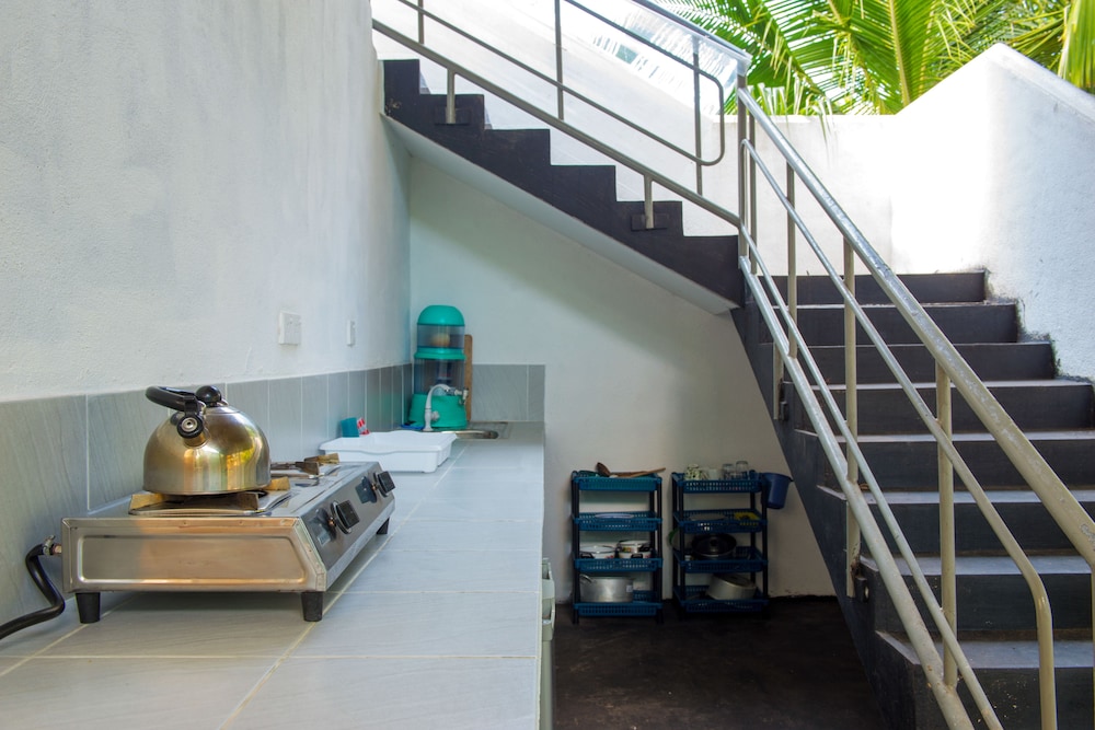 Jungleside House