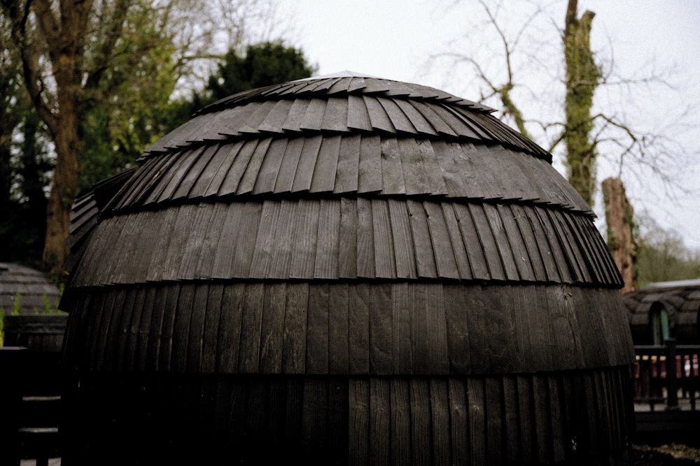 The Forest at Mount Congreve Gardens
