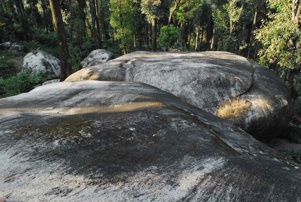 Photo 45