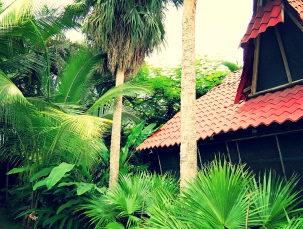 Photo 47