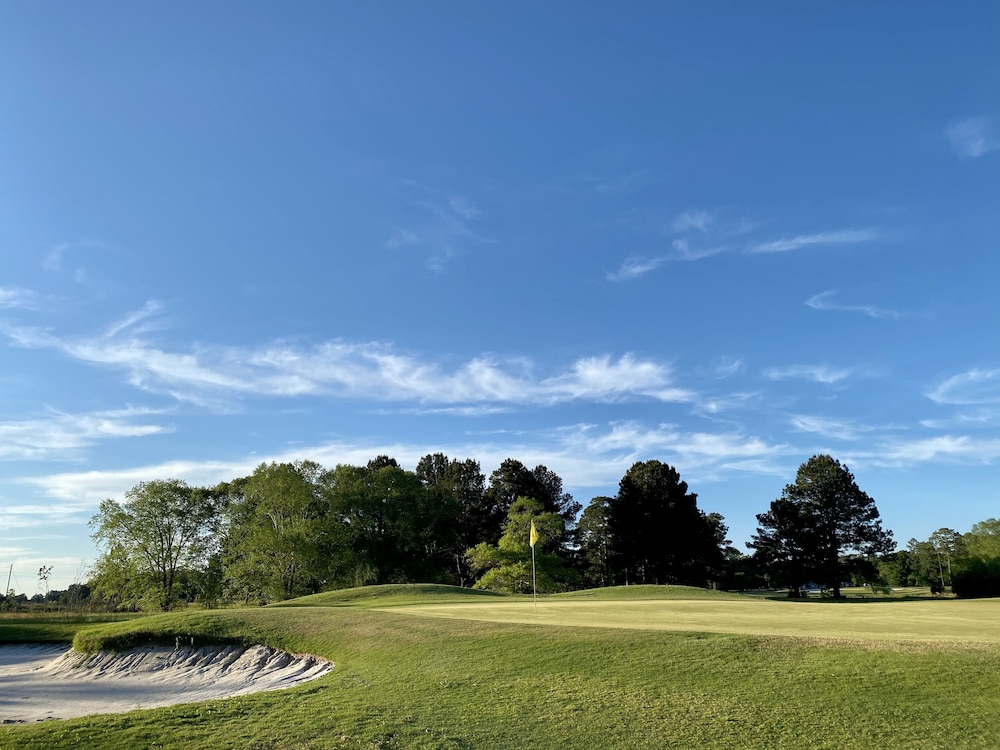 Blueberry Plantation Golf Resort view 3