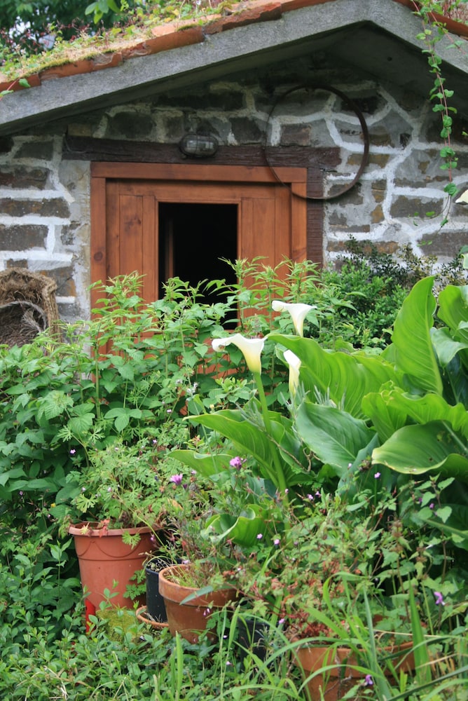 Agroturismo Amalau photo 5