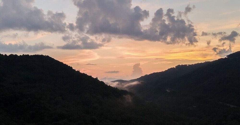 Engadine Inn  Cabins - Property Image 159