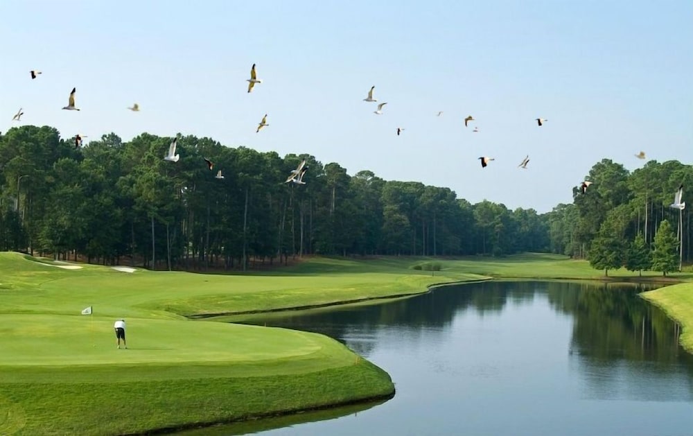 GLOBAL MIGRATORY BIRDS RESORT HOTEL