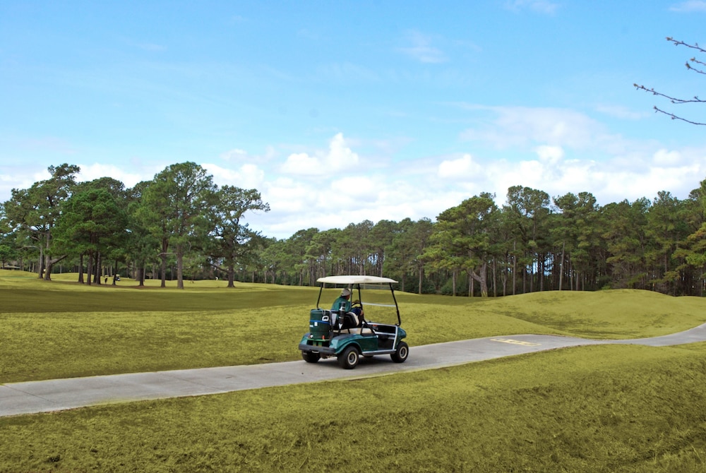 Luxurious Golf Villa Near Broadway at the Beach view 5