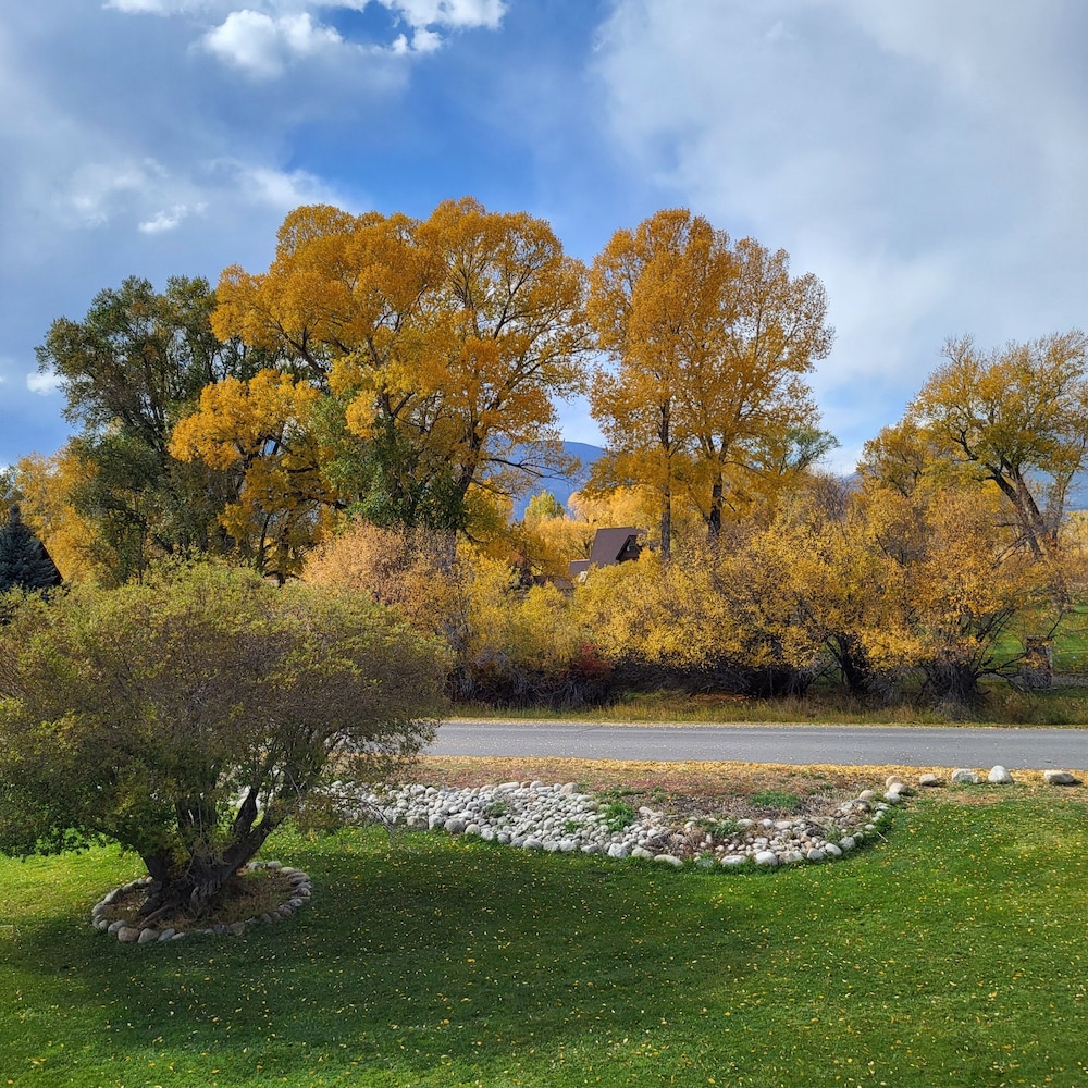 Buffalo Peaks B&B