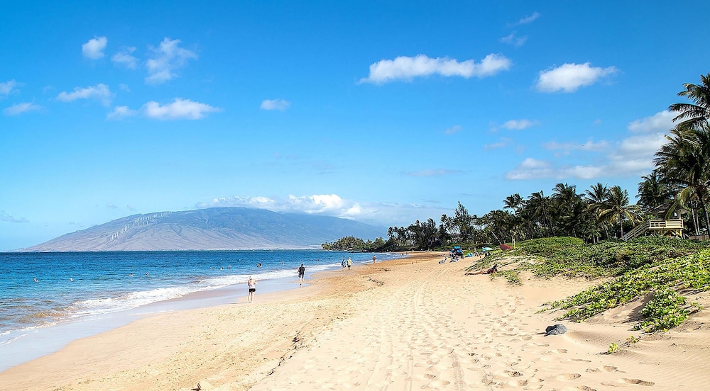 Maui Vista 2-301 - Modern and Bright Renovation in Building 2, No Carpet, AC!