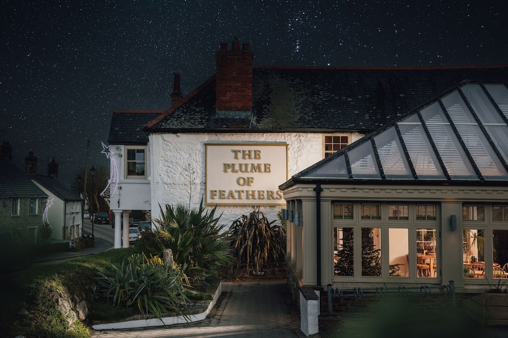 The Plume of Feathers
