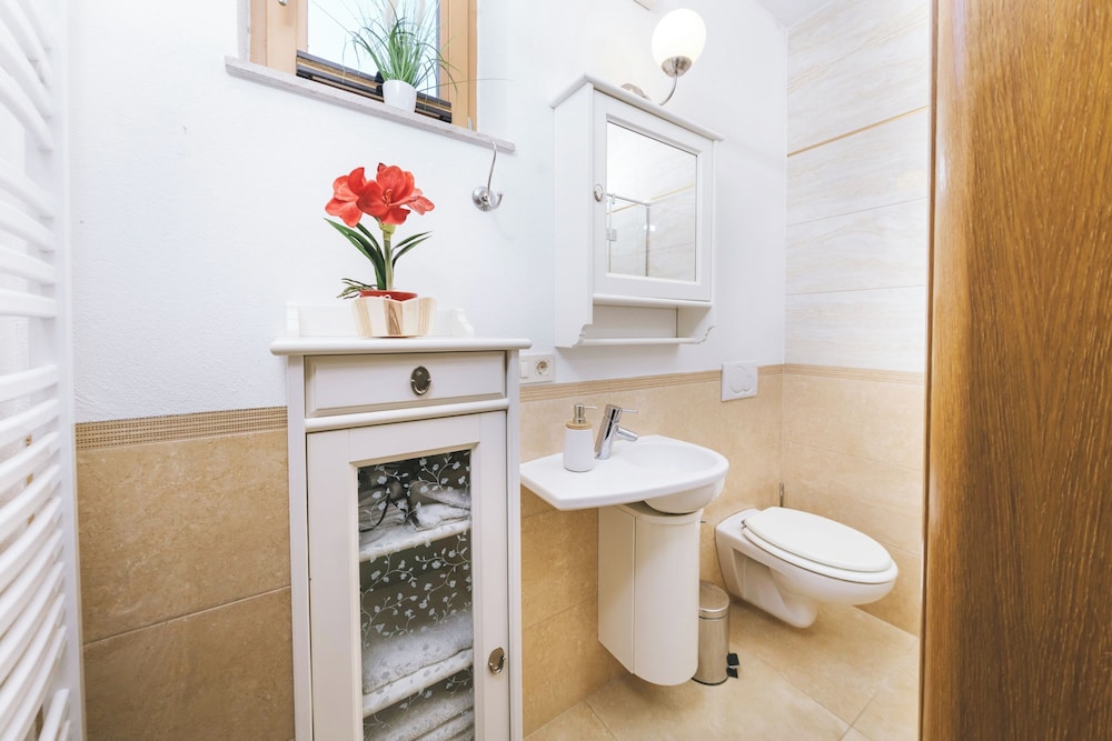 Mt Krvavec Apartment Story