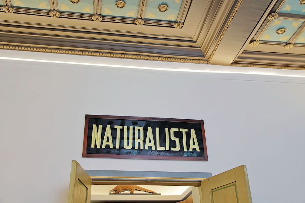 Rare Large and Elegant Rome Apartment in Prati Neighborhood Perfect for Families or Friends
