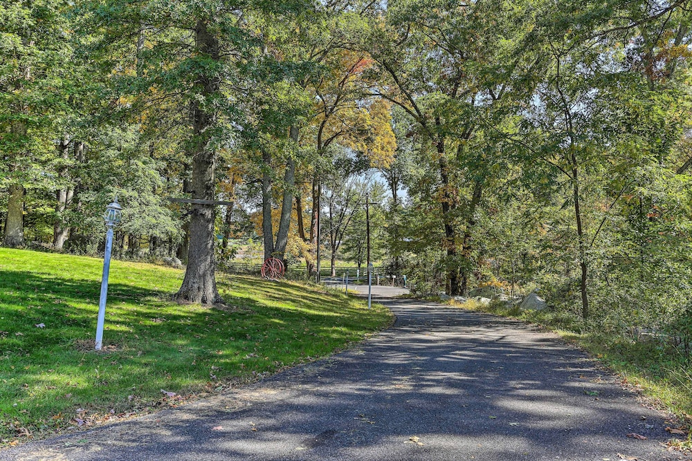 Pet-friendly Grand Pine Bush Retreat on 2 Acres! - Property Image 38