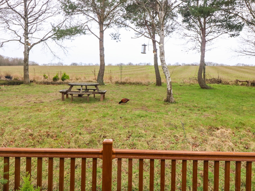 Woodpecker Lodge