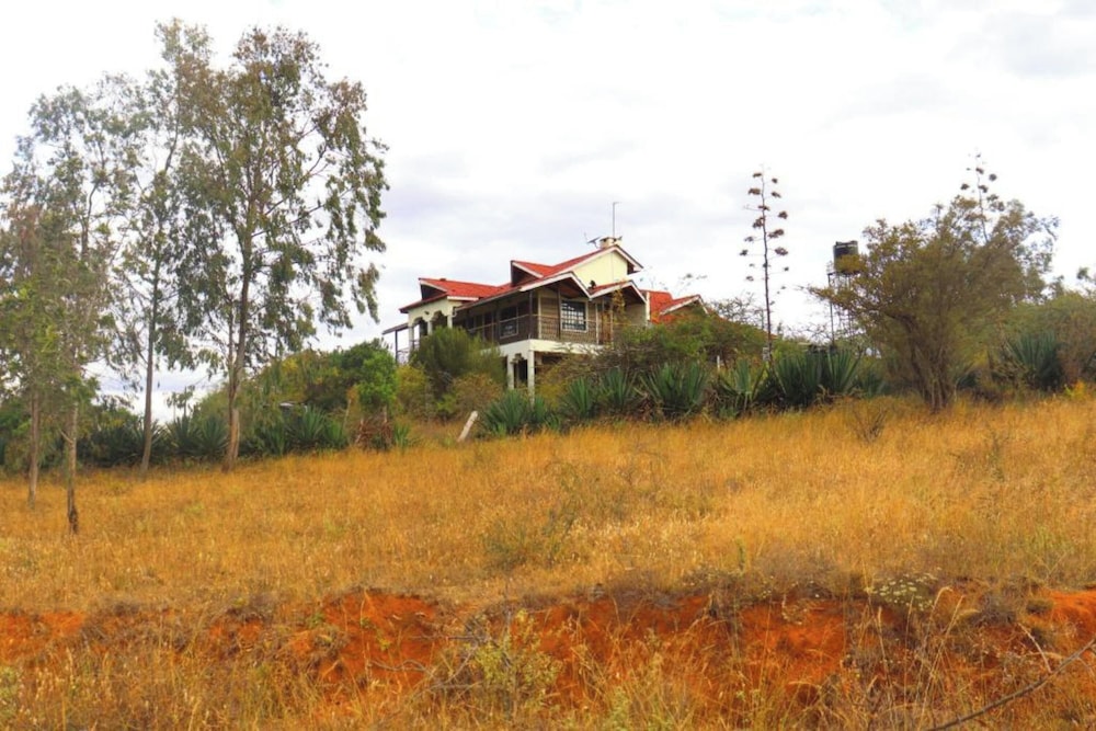 Saba House & Lodges