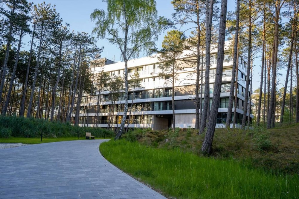Art Forrest 33 B in Rogowo