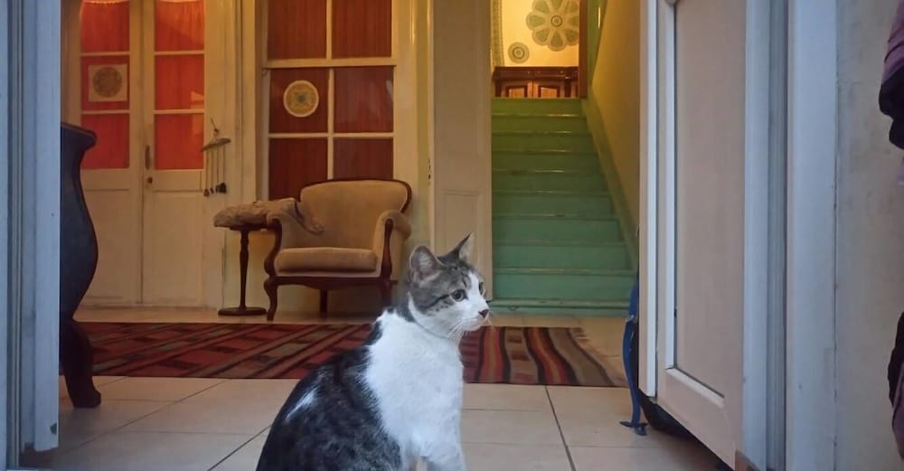 Lotus Garden Hostel - Image 10