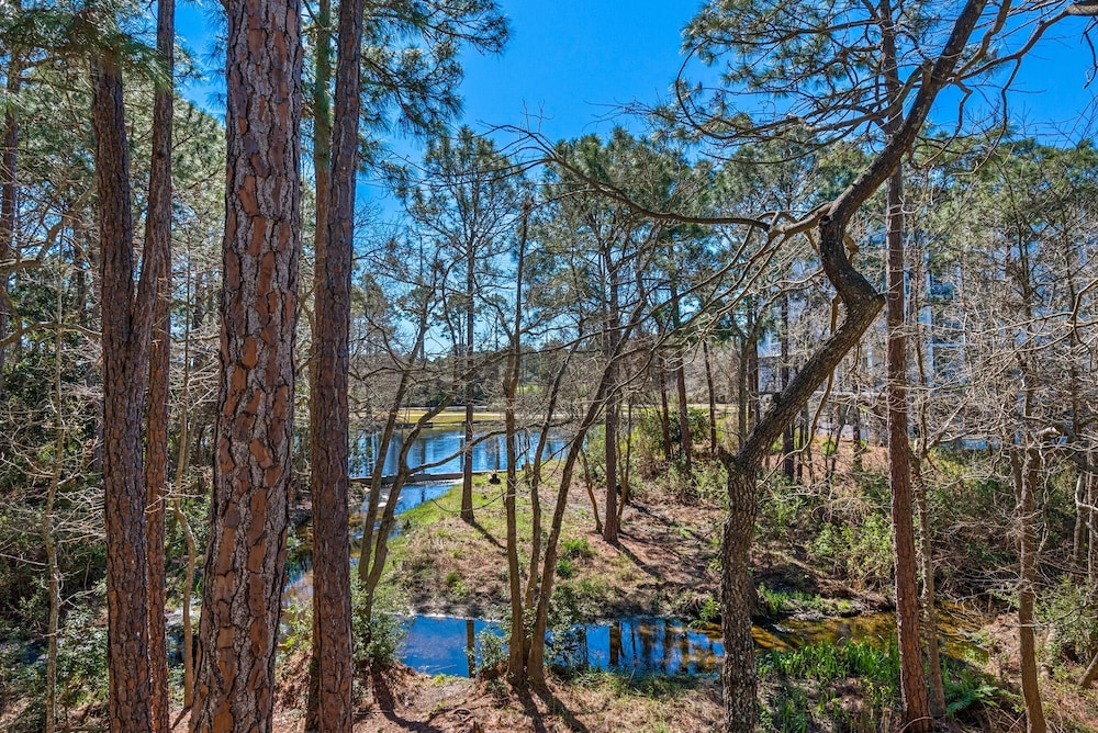 Bay Pine 8878 view 5