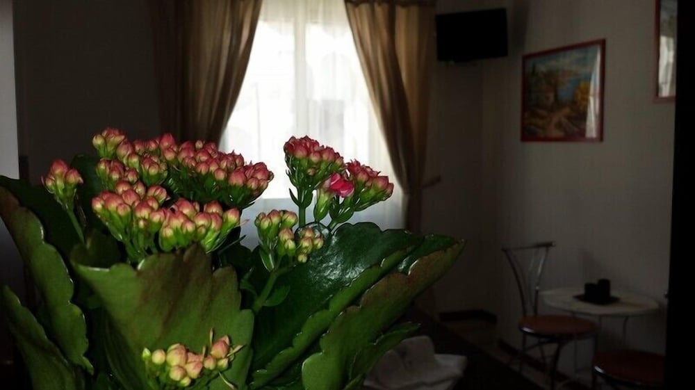 B&B Galleria Frascati