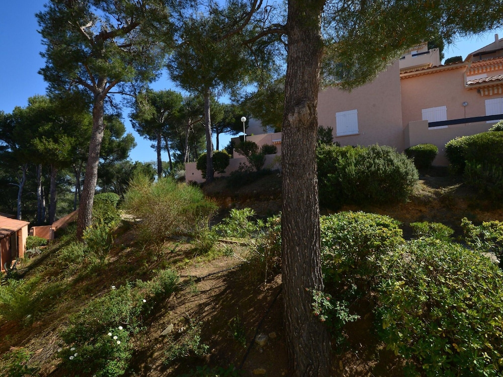 Photo 6